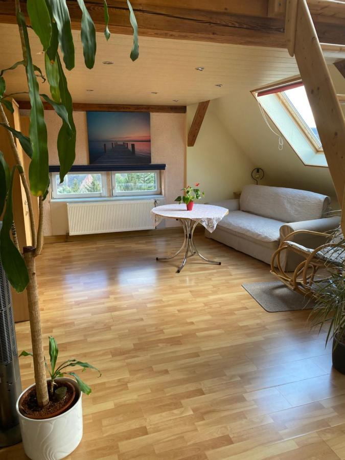 Helles Und Charmantes Loft Mit Herrlichem Blick Дрезден Екстериор снимка