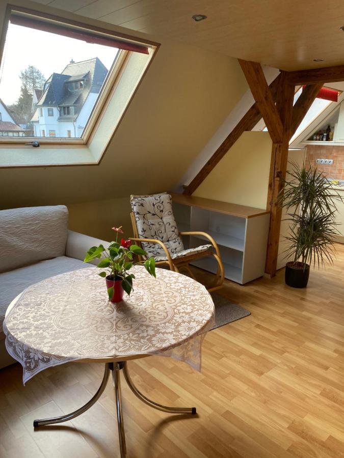 Helles Und Charmantes Loft Mit Herrlichem Blick Дрезден Екстериор снимка