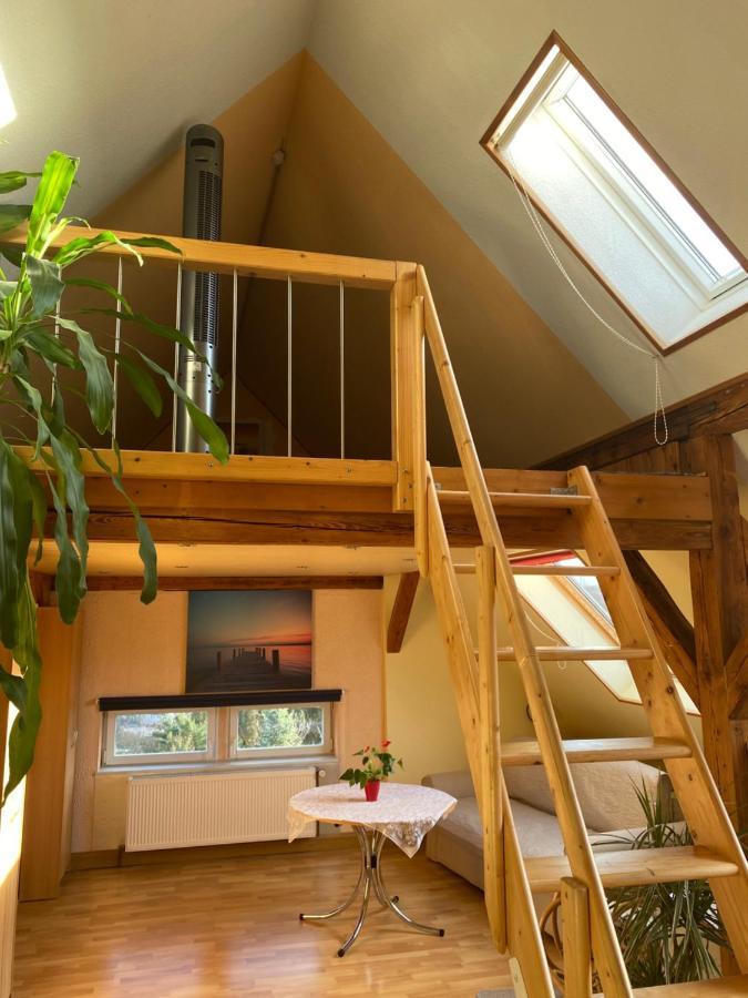 Helles Und Charmantes Loft Mit Herrlichem Blick Дрезден Екстериор снимка